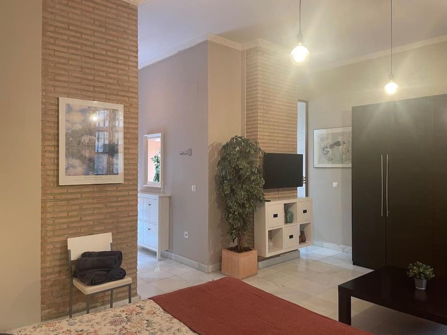 Acogedor Loft+parking Junto A Catedral Séville