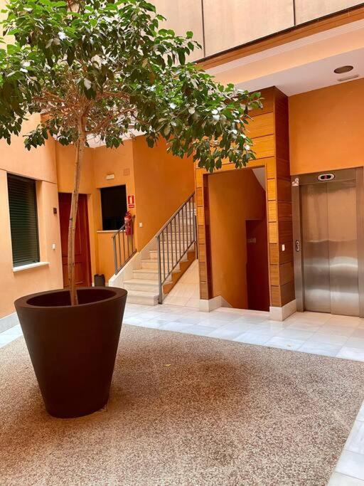Acogedor Loft+parking Junto A Catedral *